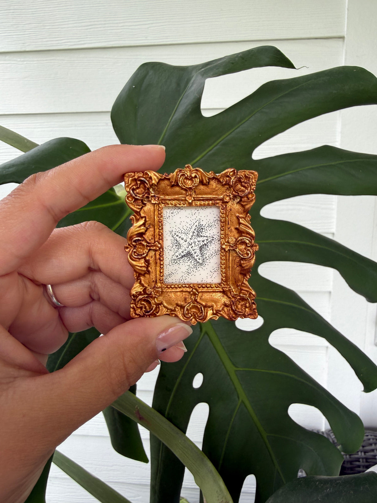 Mini Magnet "Resting Starfish"