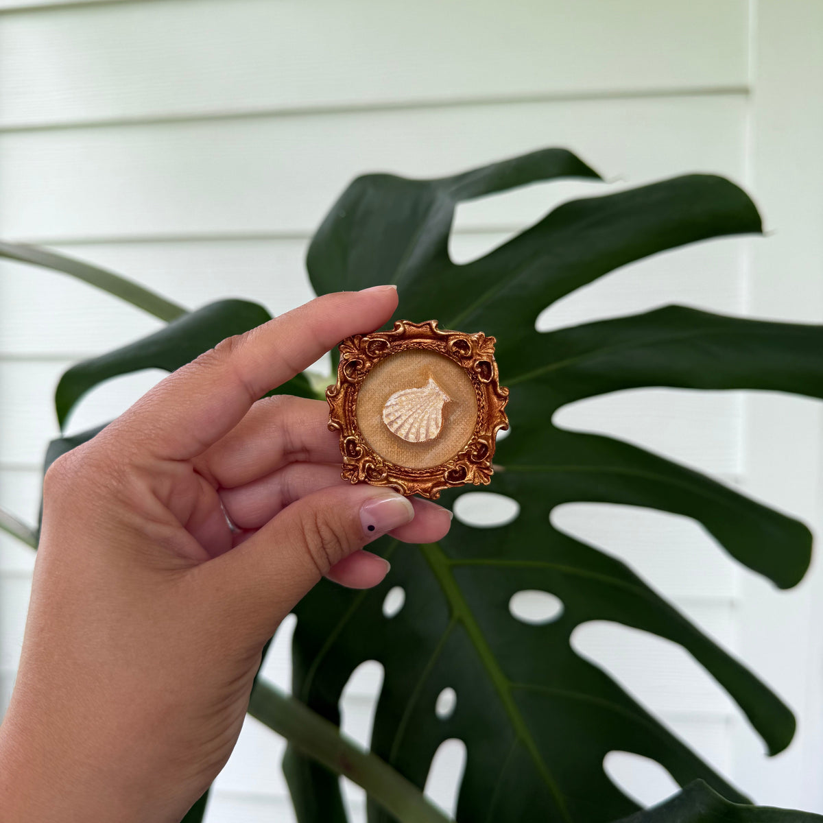 Mini Magnet "Sea Shell"