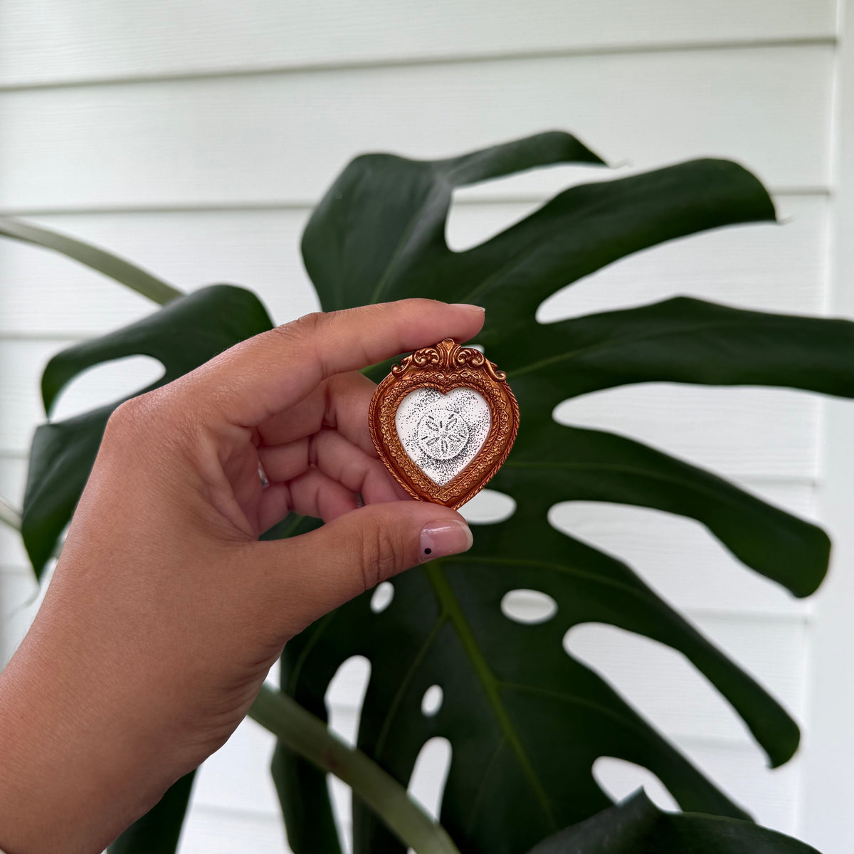 Mini Magnet "Starfish"