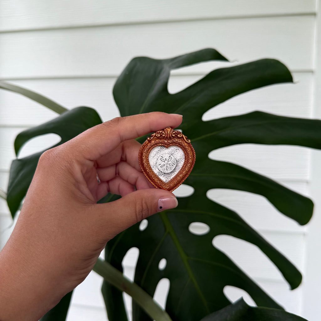 Mini Magnet "Sand Dollar"