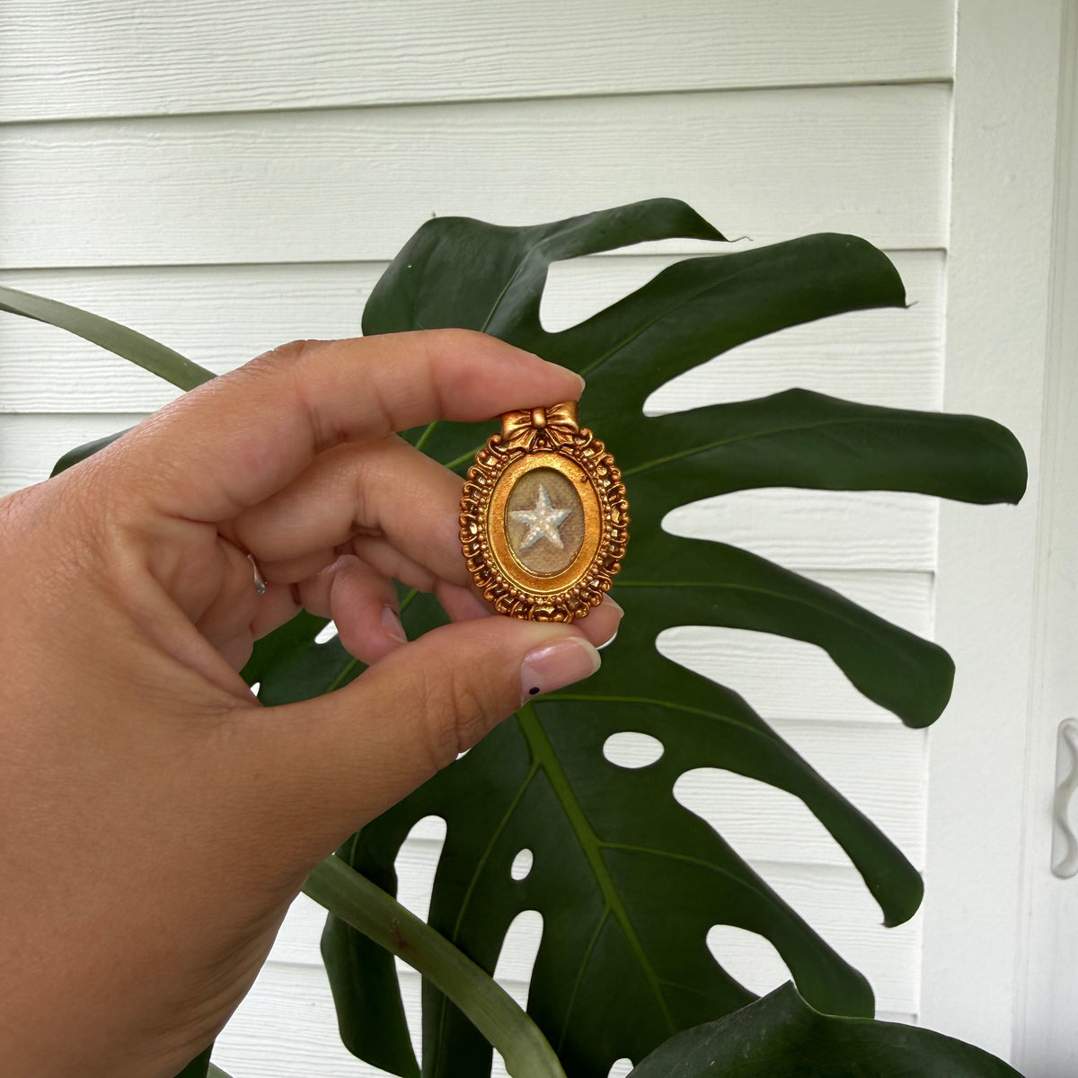 Mini Magnet "Starfish In Color"