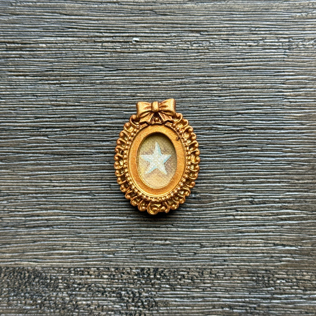 Mini Magnet "Starfish In Color"